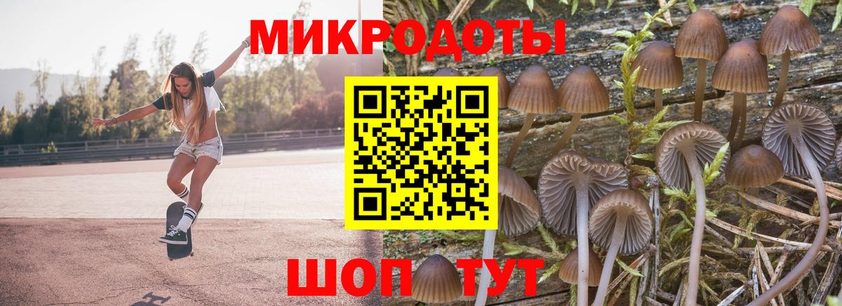 Галлюциногенные грибы мицелий  магазин  наркотиков  Ржев  Вход с VPN 